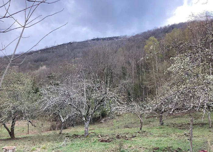 Hébergement de vacances La Petite Maison-les Logis D'agaliaure *